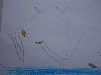 DSC00804