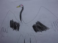 DSC00806