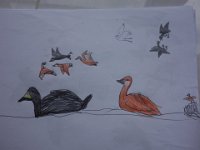 DSC00809