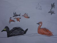 DSC00810