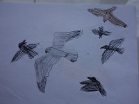 DSC00811
