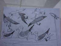 DSC00815