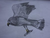 DSC00821