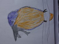DSC00829