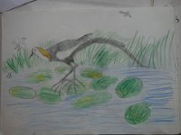DSC00845