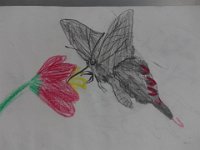 DSC00858