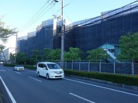 DSC00971