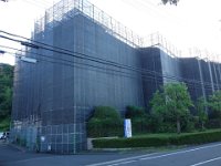DSC00974