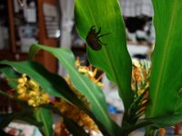 DSC00991