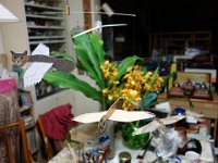 DSC00995