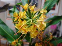 DSC01019