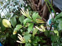 DSC01201