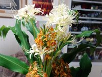 DSC01208