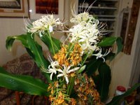 DSC01211
