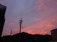 DSC01217
