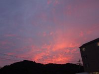DSC01218