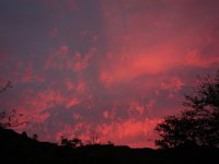DSC01219