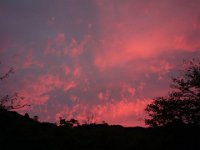 DSC01220