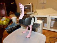 DSC01232