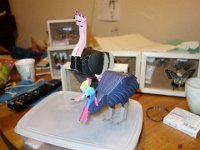 DSC01233