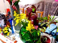 DSC01588X