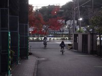20201121
