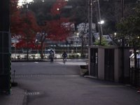 DSC01696