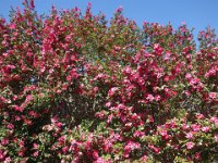 DSC01834
