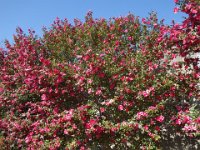 DSC01836