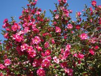 DSC01837