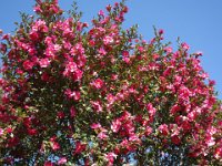 DSC01838