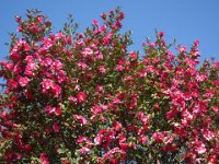 DSC01839
