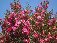 DSC01841