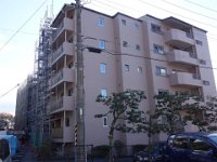DSC01878