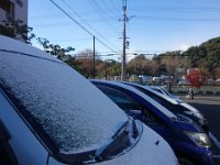DSC01903