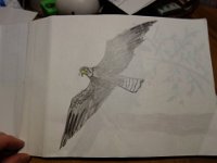 DSC01910