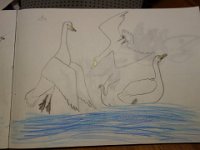 DSC01917