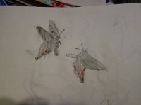 DSC01918