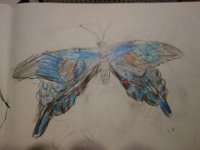 DSC01924