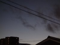 DSC01991