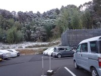 20201231