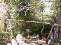 RIMG7861