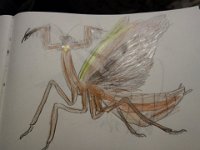 20210107