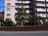 RIMG7868