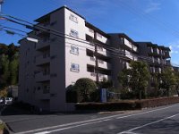 RIMG7869