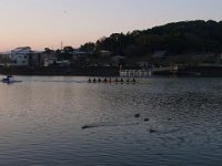 RIMG7896
