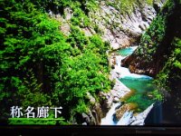 RIMG7911