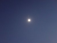 DSC02184