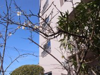 2021年02月