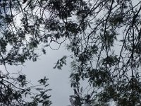 DSC02271